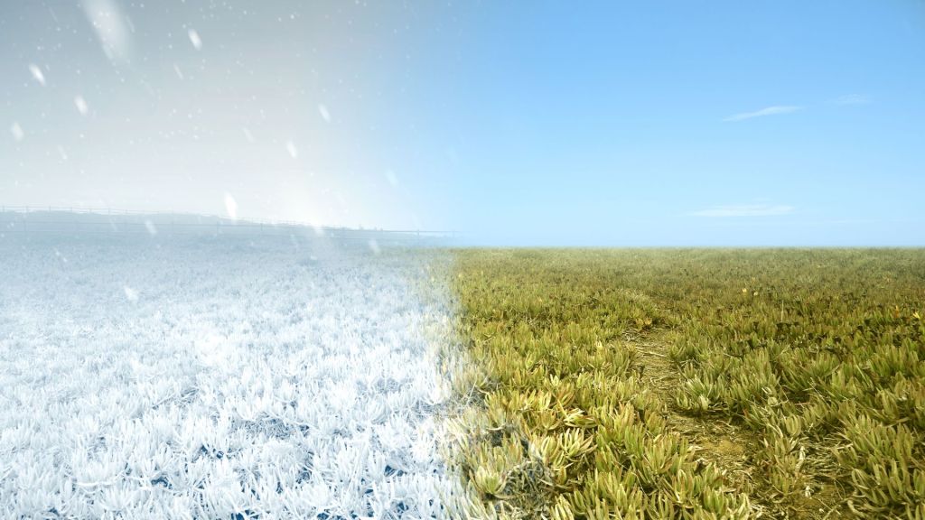 an open field half covered in snow to signify the changing of the seasons