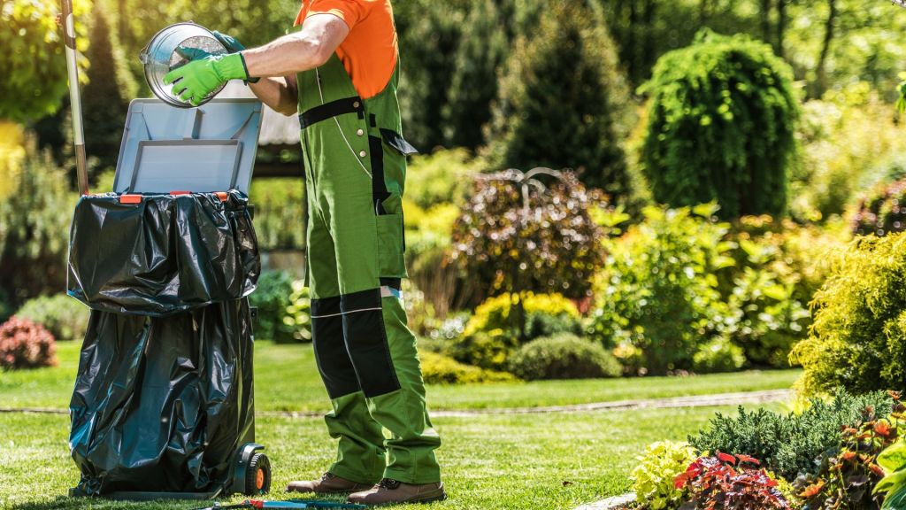 spring cleaning