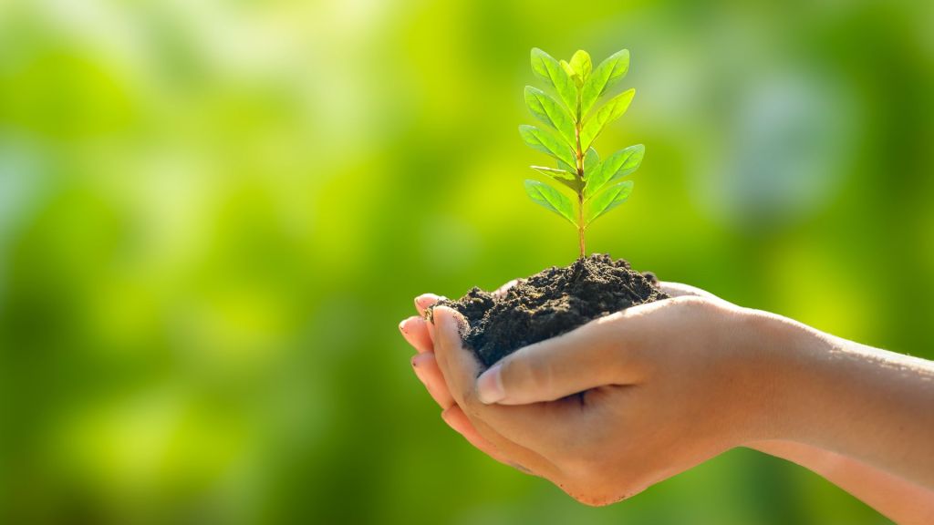 earth day