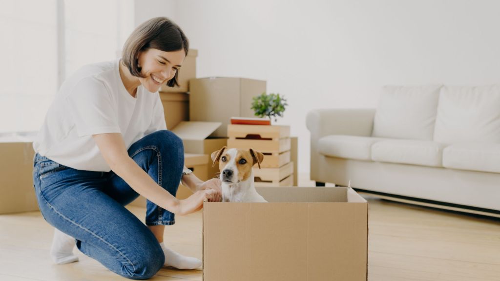 Family Pets Tips to Make Their Move Easier