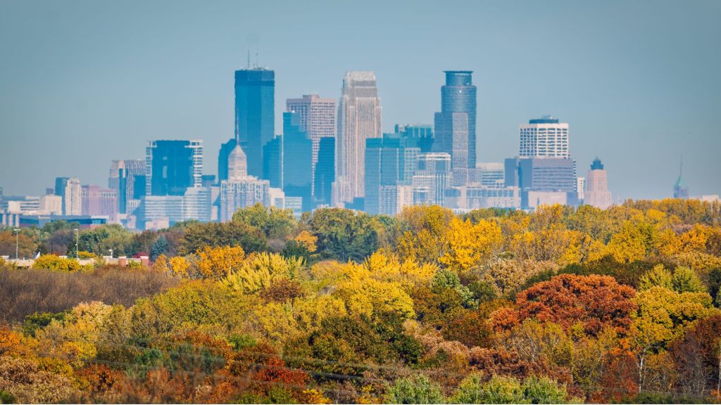fall in twin cities