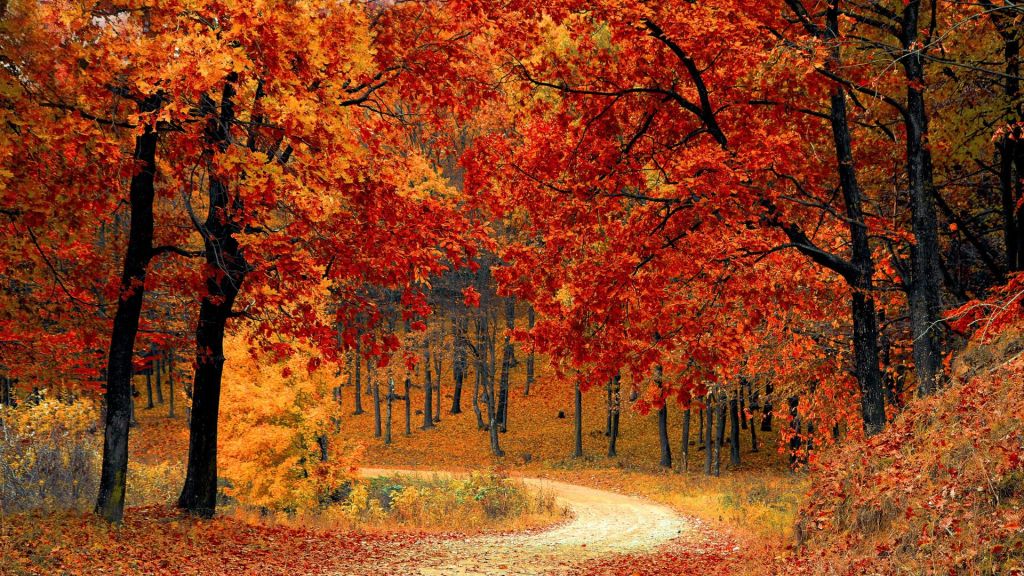 fall maintenance tips